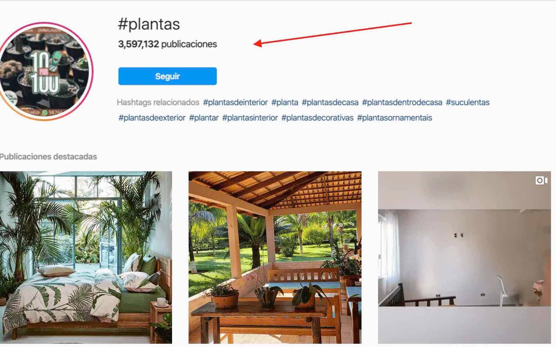 Ejemplo prospectar en instagram con hashtags